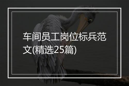 车间员工岗位标兵范文(精选25篇)