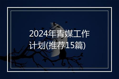 2024年青媒工作计划(推荐15篇)