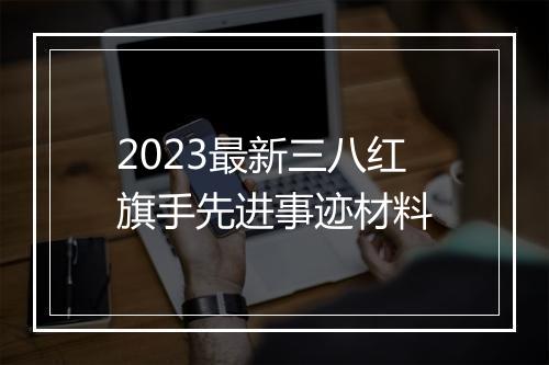 2023最新三八红旗手先进事迹材料