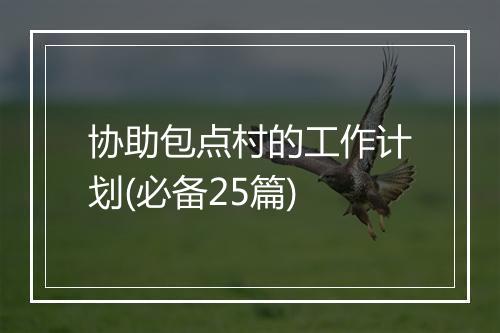 协助包点村的工作计划(必备25篇)