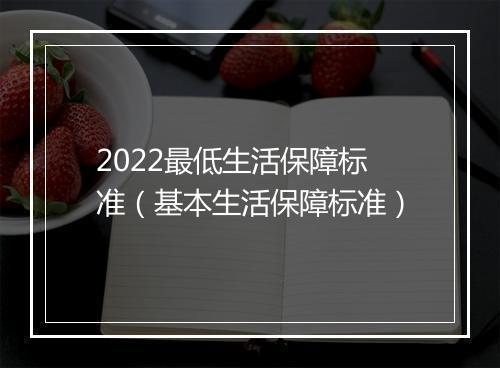 2022最低生活保障标准（基本生活保障标准）