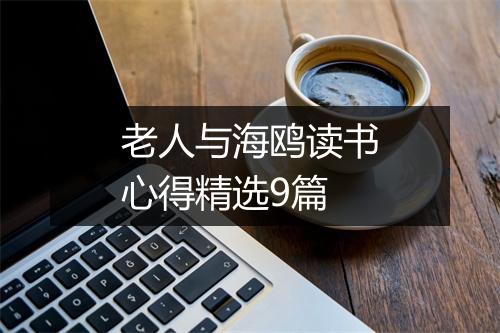 老人与海鸥读书心得精选9篇