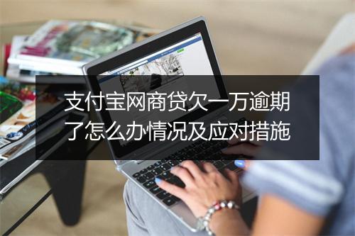支付宝网商贷欠一万逾期了怎么办情况及应对措施