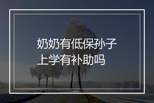 奶奶有低保孙子上学有补助吗