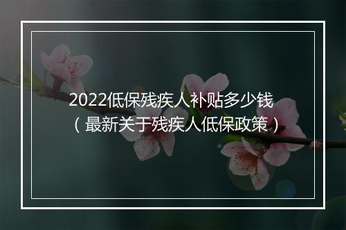 2022低保残疾人补贴多少钱（最新关于残疾人低保政策）