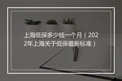 上海低保多少钱一个月（2022年上海关于低保最新标准）