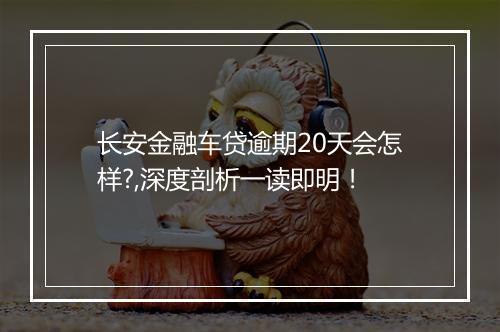 长安金融车贷逾期20天会怎样?,深度剖析一读即明！