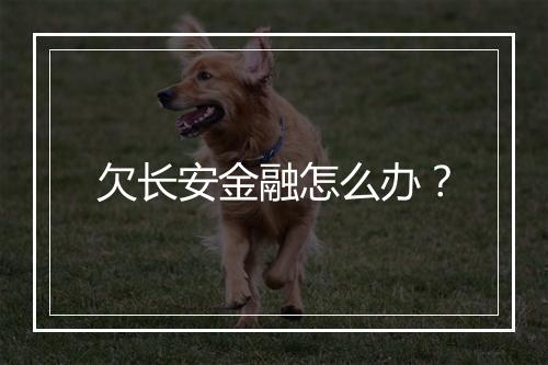 欠长安金融怎么办？