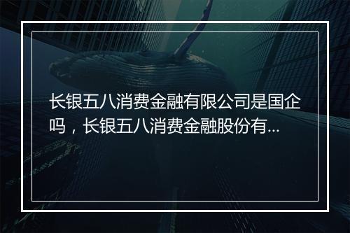 长银五八消费金融有限公司是国企吗，长银五八消费金融股份有限公司公司治理