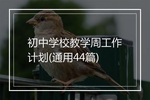 初中学校教学周工作计划(通用44篇)