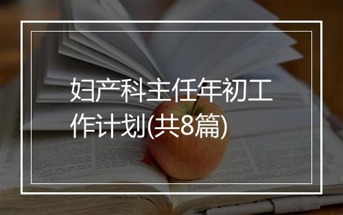 妇产科主任年初工作计划(共8篇)