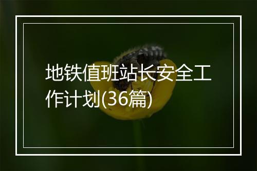 地铁值班站长安全工作计划(36篇)