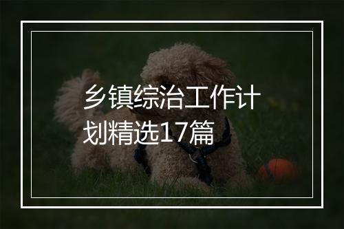 乡镇综治工作计划精选17篇