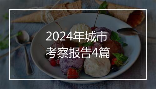 2024年城市考察报告4篇