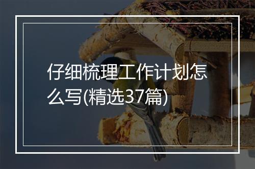 仔细梳理工作计划怎么写(精选37篇)