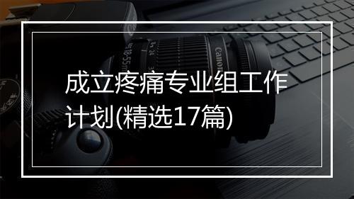 成立疼痛专业组工作计划(精选17篇)