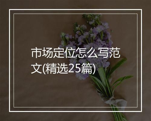 市场定位怎么写范文(精选25篇)