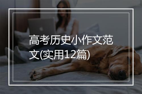 高考历史小作文范文(实用12篇)