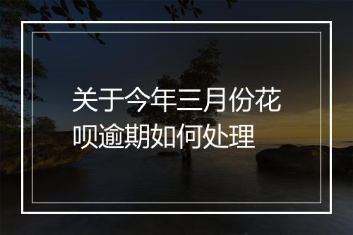 关于今年三月份花呗逾期如何处理