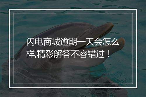 闪电商城逾期一天会怎么样,精彩解答不容错过！