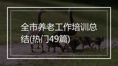 全市养老工作培训总结(热门49篇)