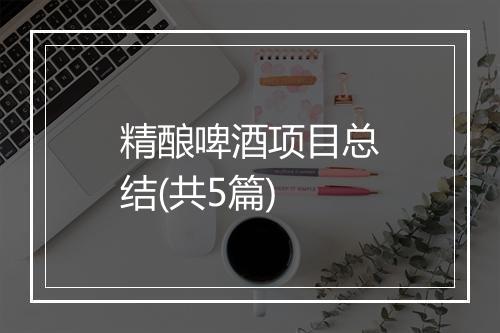 精酿啤酒项目总结(共5篇)