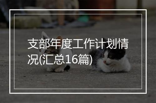 支部年度工作计划情况(汇总16篇)