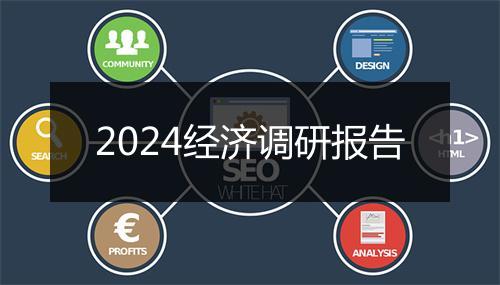 2024经济调研报告