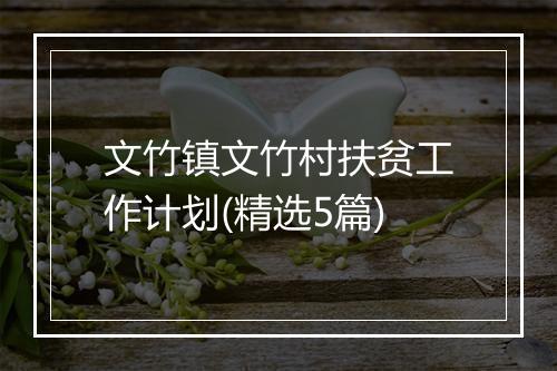 文竹镇文竹村扶贫工作计划(精选5篇)
