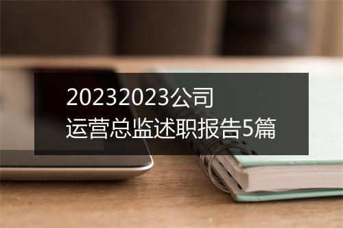 20232023公司运营总监述职报告5篇