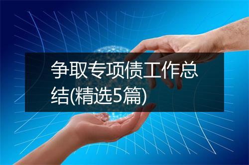 争取专项债工作总结(精选5篇)
