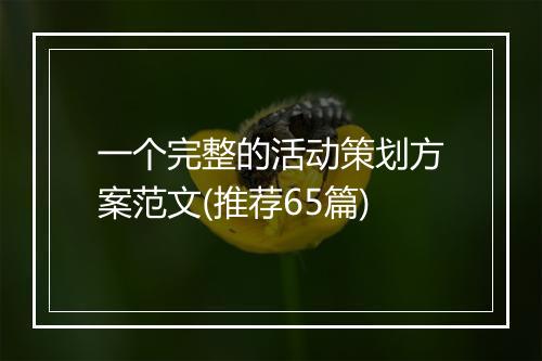 一个完整的活动策划方案范文(推荐65篇)