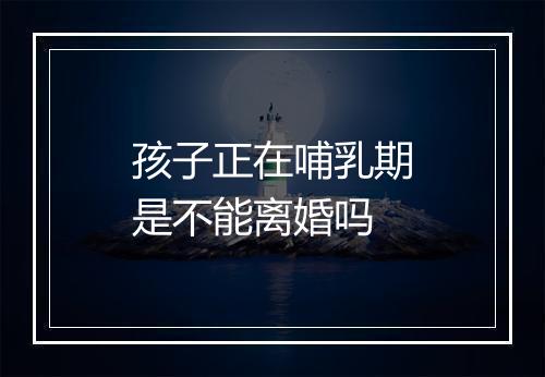 孩子正在哺乳期是不能离婚吗