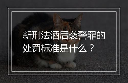 新刑法酒后袭警罪的处罚标准是什么？