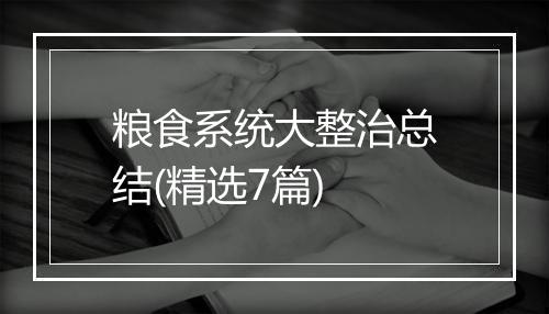粮食系统大整治总结(精选7篇)
