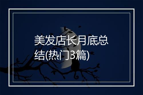 美发店长月底总结(热门3篇)