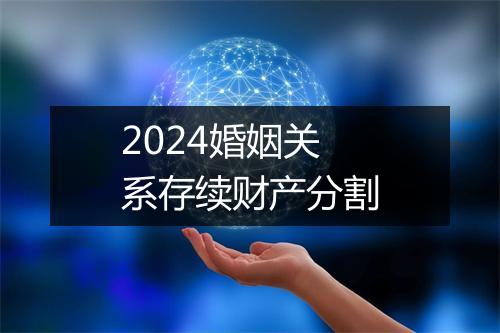 2024婚姻关系存续财产分割