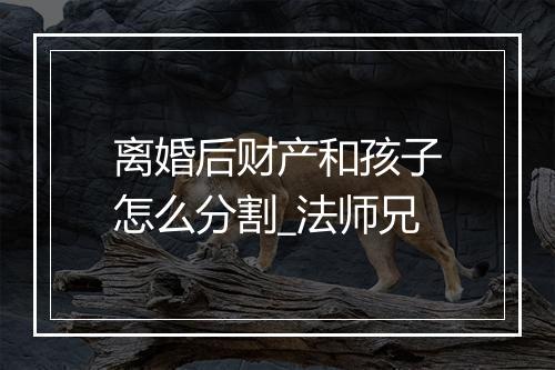 离婚后财产和孩子怎么分割_法师兄
