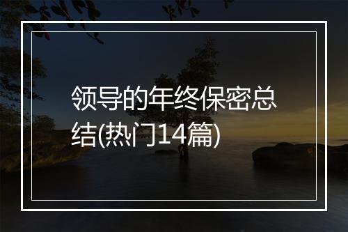 领导的年终保密总结(热门14篇)