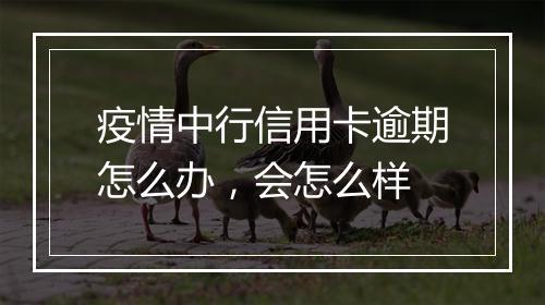 疫情中行信用卡逾期怎么办，会怎么样