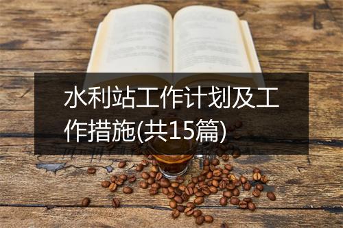水利站工作计划及工作措施(共15篇)