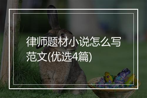 律师题材小说怎么写范文(优选4篇)