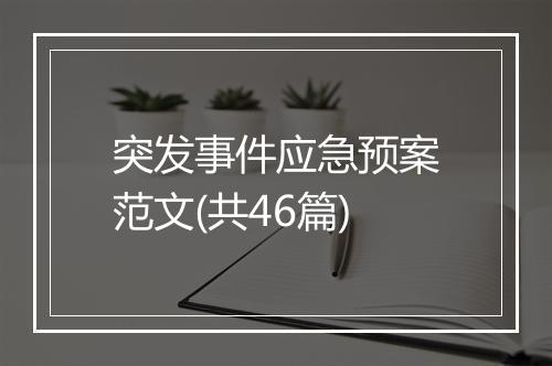 突发事件应急预案范文(共46篇)
