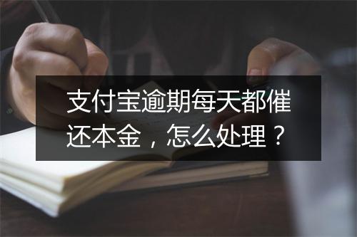 支付宝逾期每天都催还本金，怎么处理？