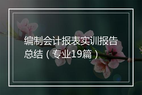 编制会计报表实训报告总结（专业19篇）