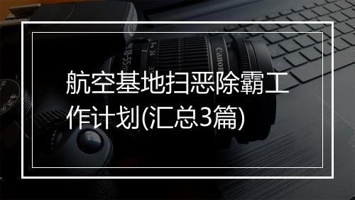 航空基地扫恶除霸工作计划(汇总3篇)