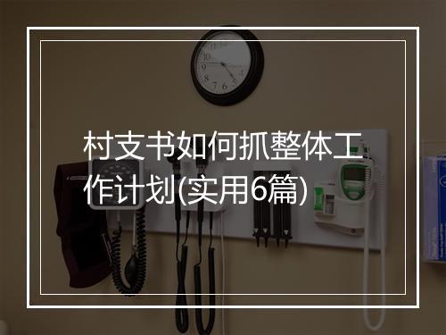 村支书如何抓整体工作计划(实用6篇)