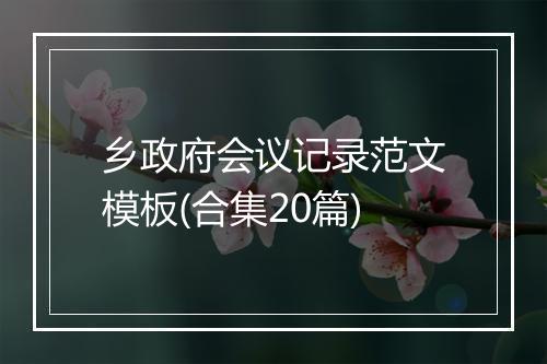乡政府会议记录范文模板(合集20篇)