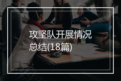 攻坚队开展情况总结(18篇)