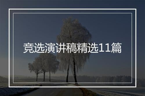 竞选演讲稿精选11篇